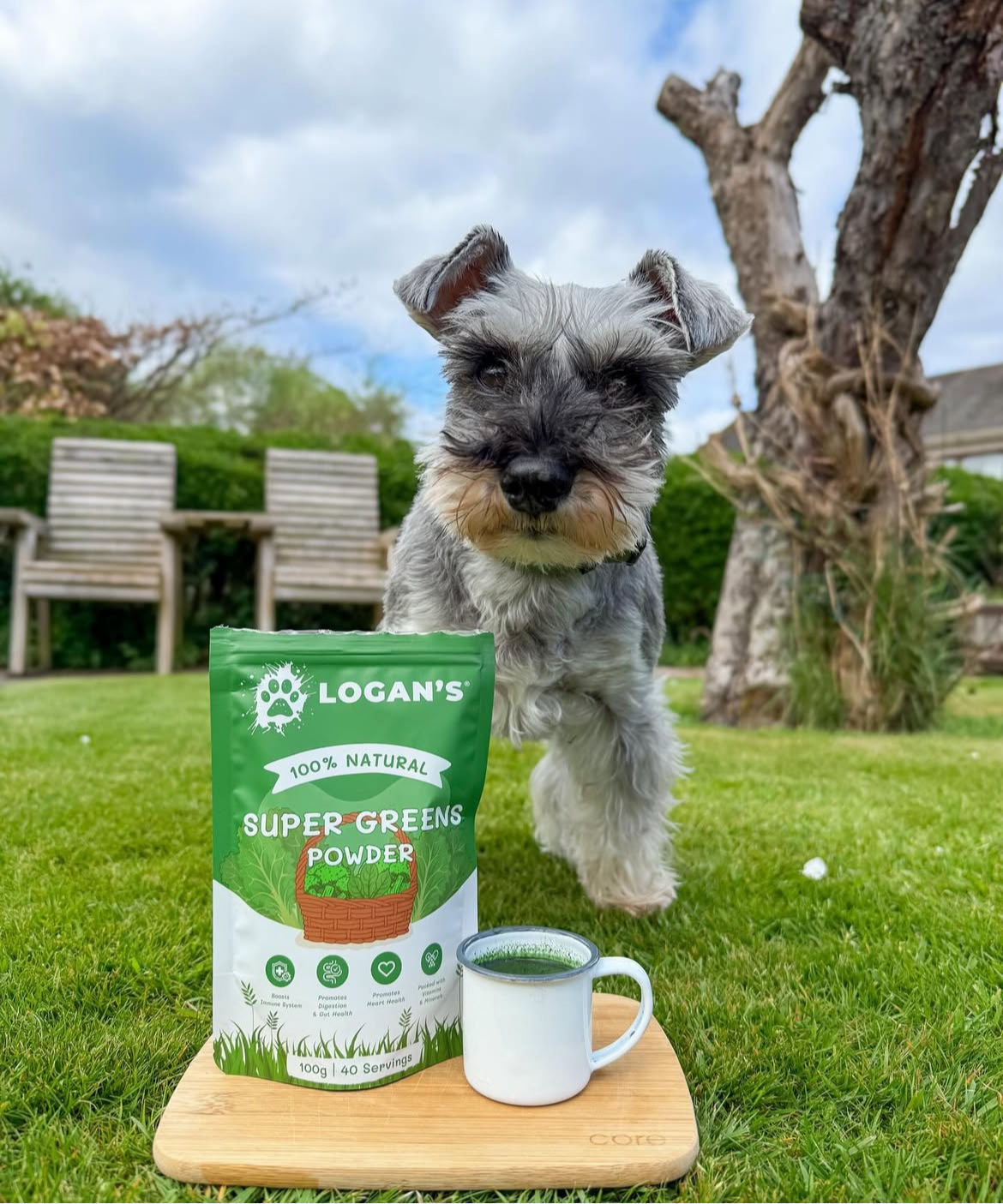 Logan's super greens pulver - 100g