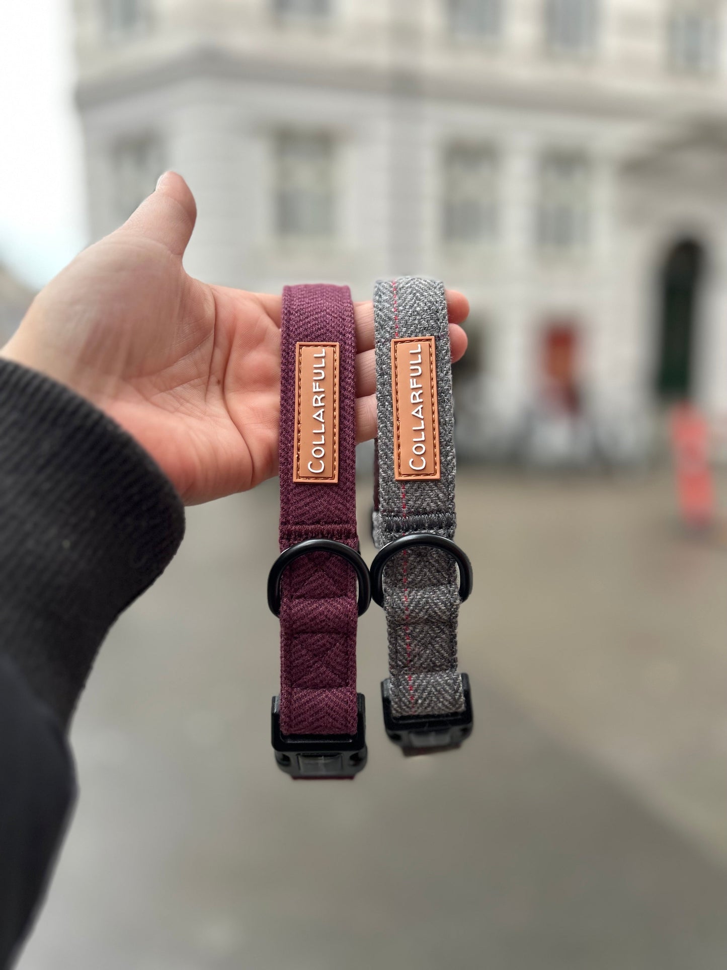 Collar - Burgundy Herringbone Tweed