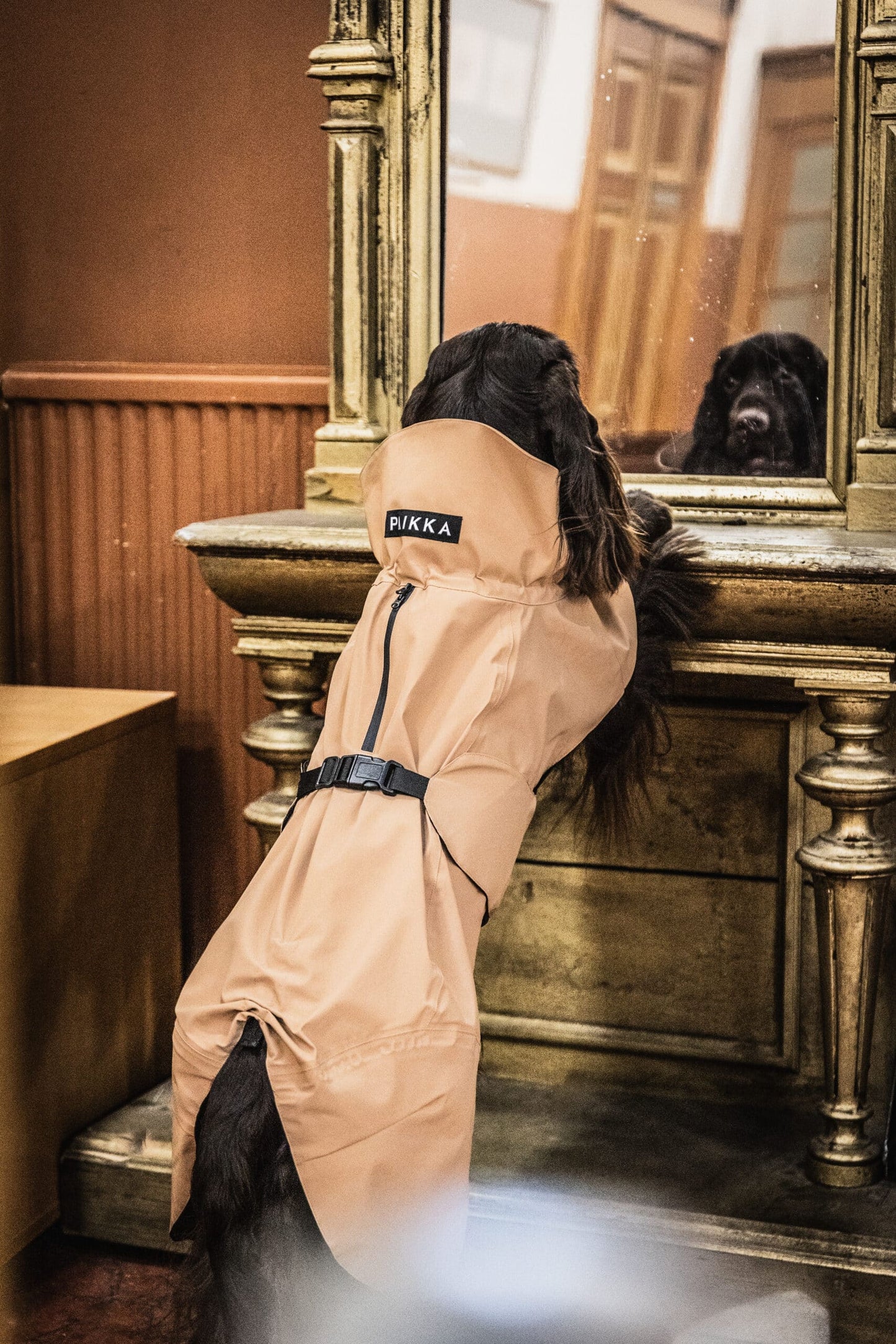 ((PRE-ORDER)) Paikka Visibility regnfrakke Taupe