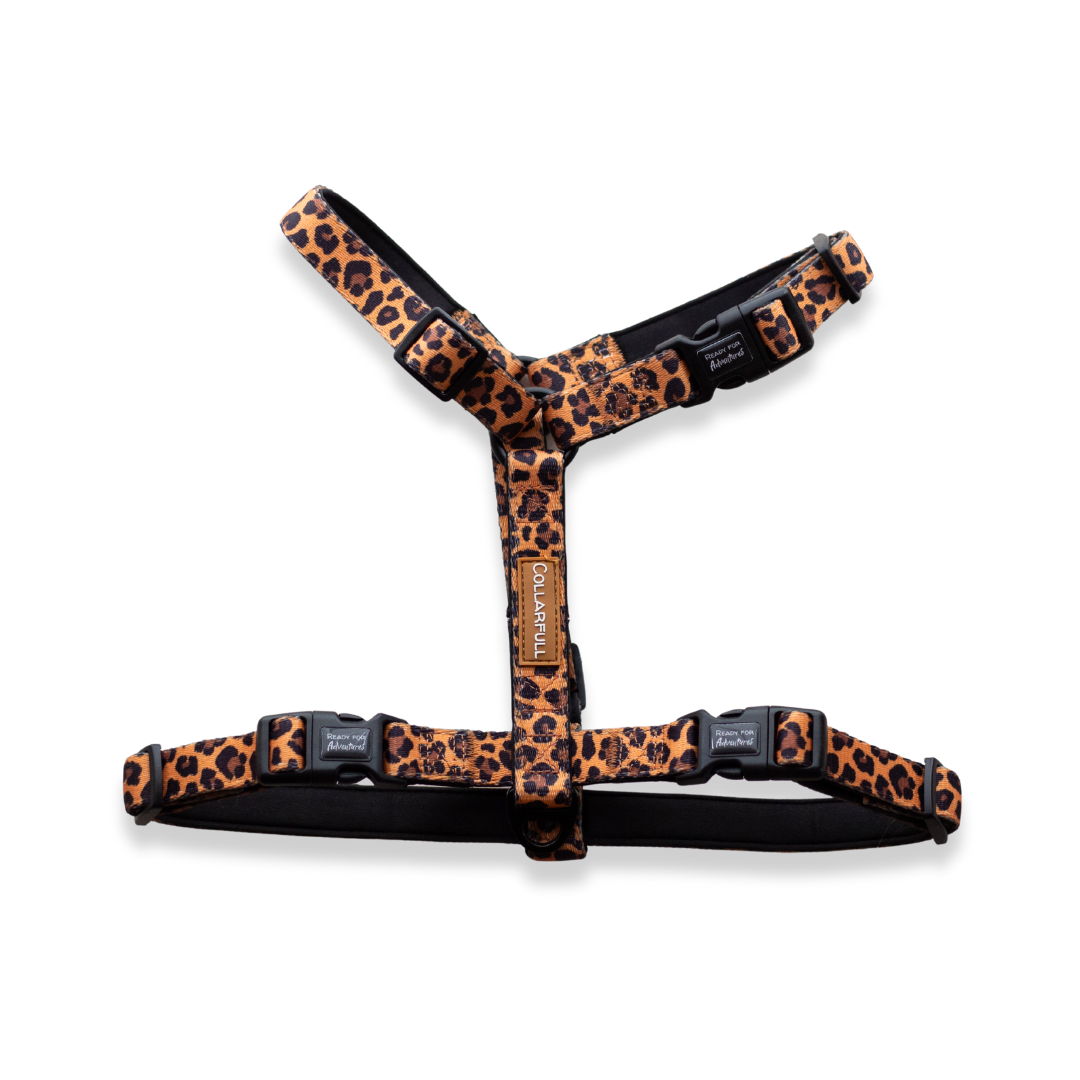 Urban Y Trails dog harness - Lovely Leopard