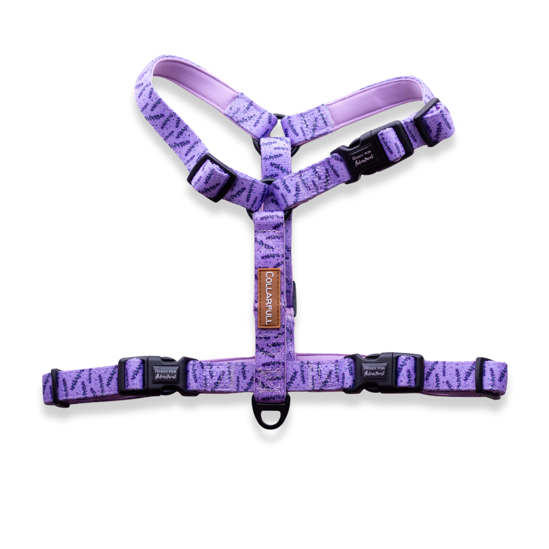Urban Y Trails Dog Harness - In Smell Lavender