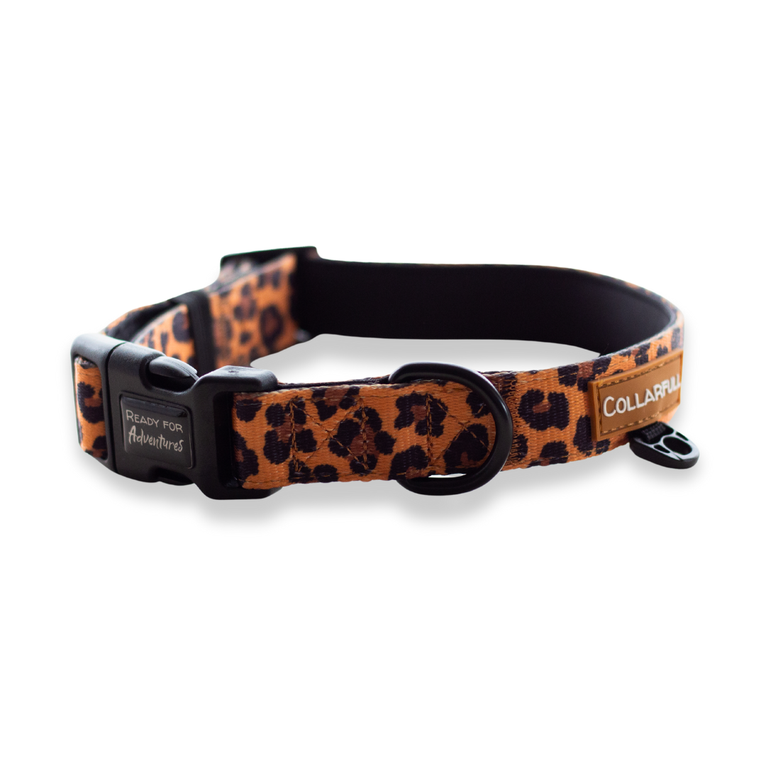 Collar - Lovely Leopard