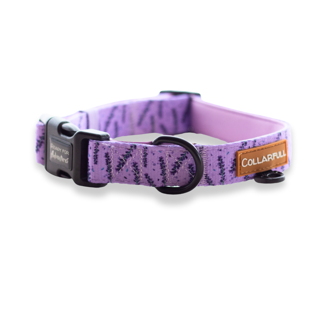 Necklace - I Smell Lavender
