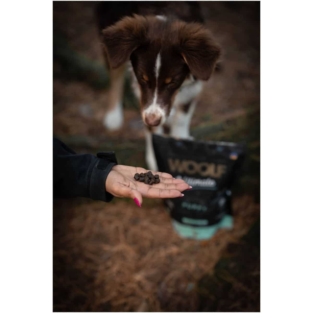 Woolf Ultimate Puppy semi-moist fuldfolder - 1kg