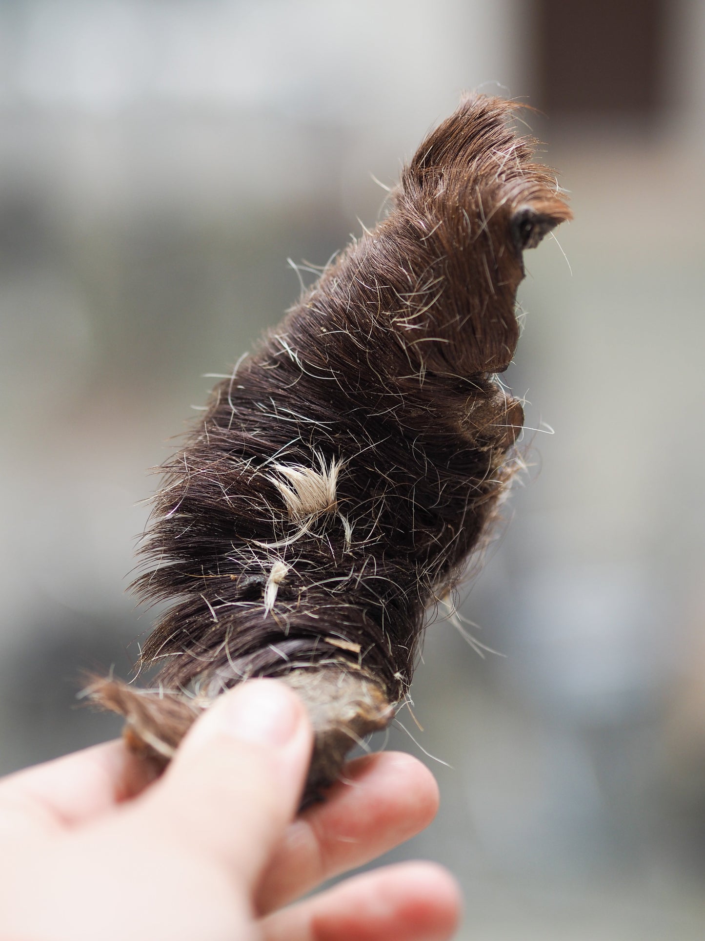 Horsehide strips with fur - 200g.