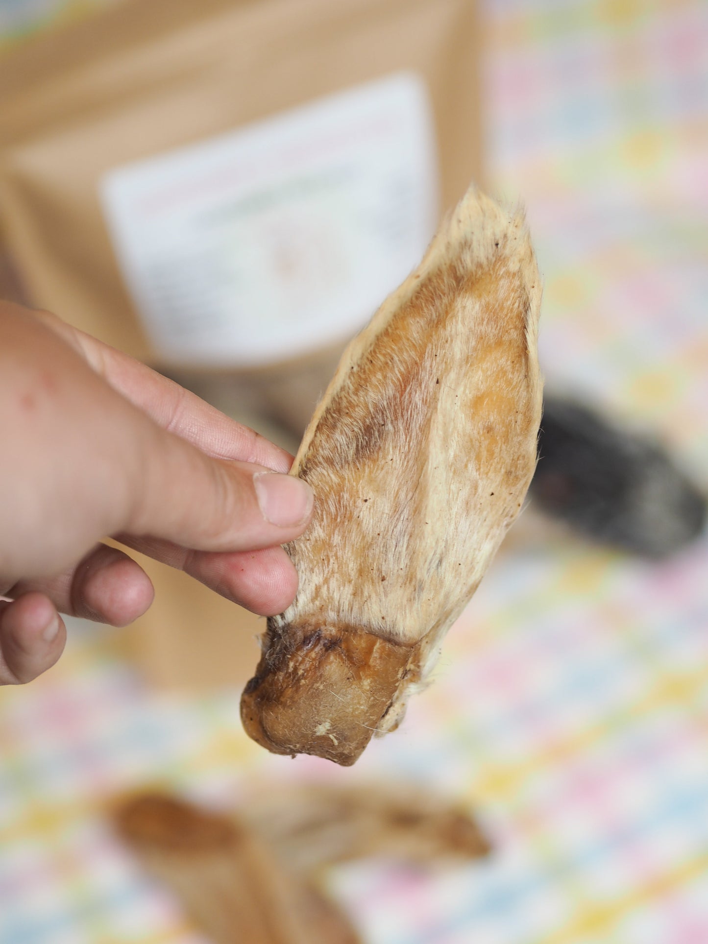 Lamb ears with fur