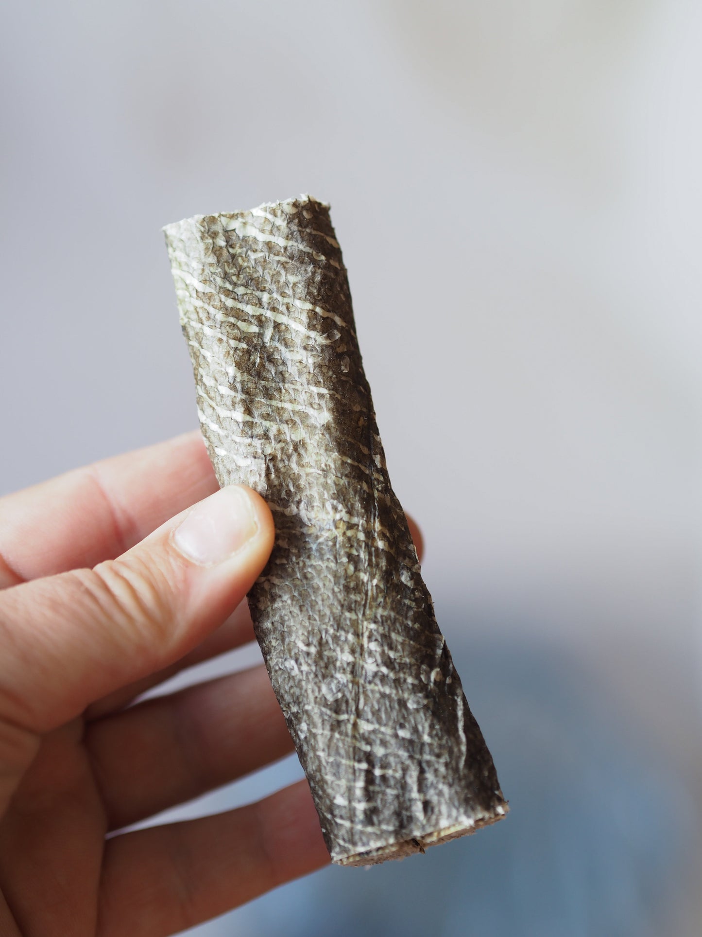Sanadog Cod fillet with skin (800g - bucket)