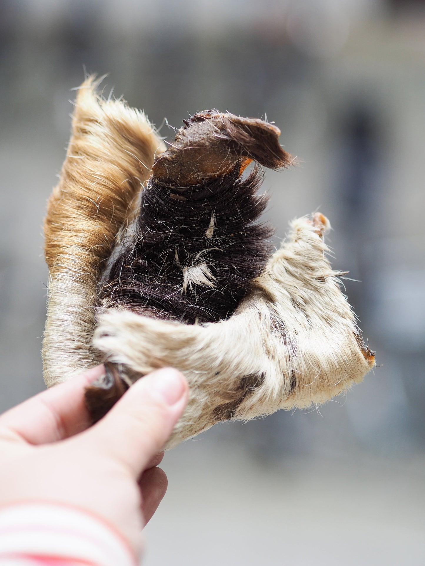 Horsehide strips with fur - 200g.