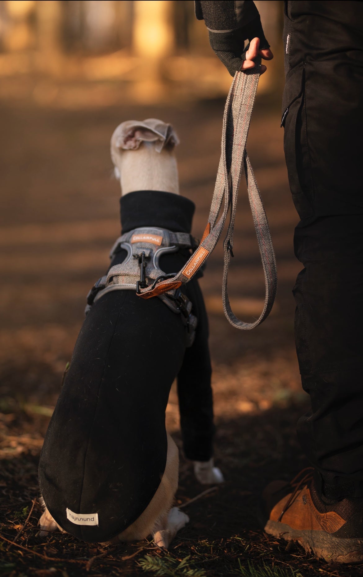 Adjustable dog leash - Gray Herringbone Tweed