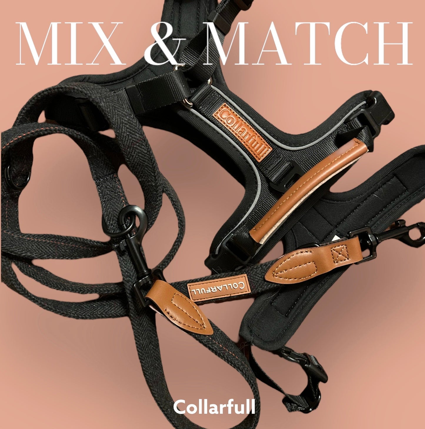 Terrain Trails dog harness - Stylish Black