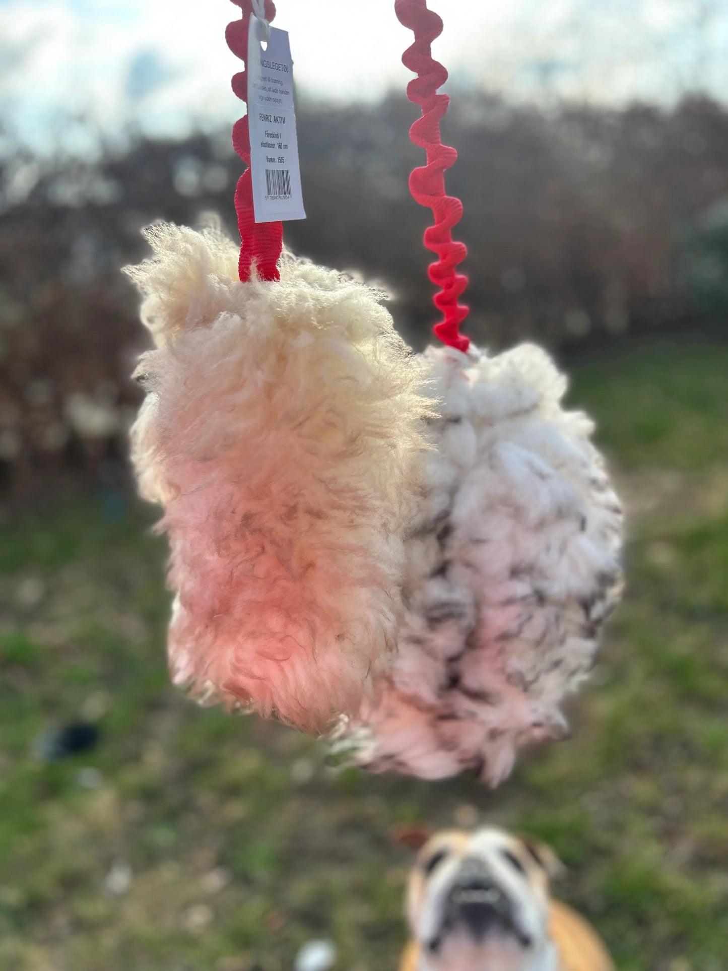 Fenriz Active Bungee Chaser w. Sheepskin