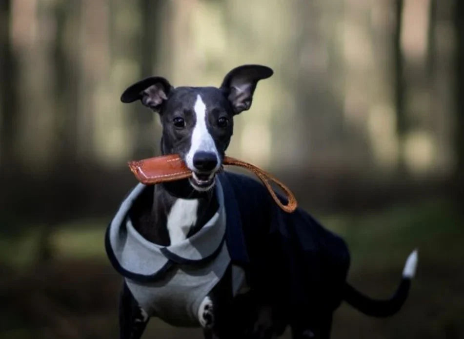 Swaggin Tails Tug and Toss