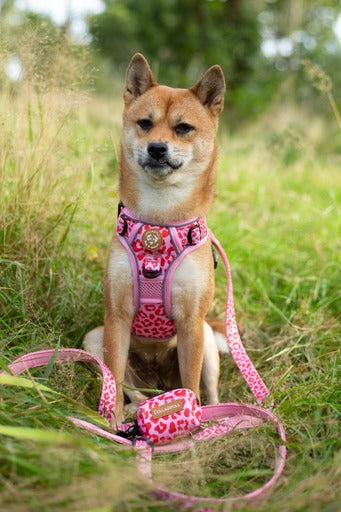 Adjustable dog leash - Pink Panther