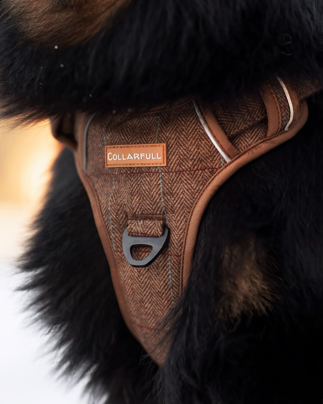 Adventure Trails Dog Harness - Brown Herringbone Tweed