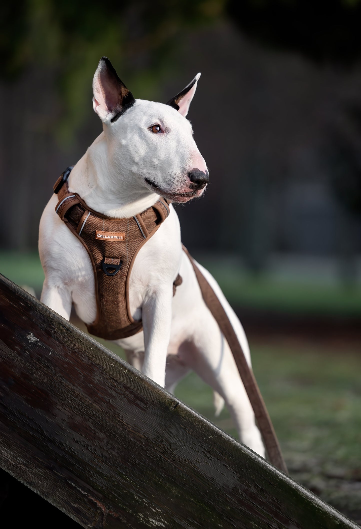Adventure Trails Dog Harness - Brown Herringbone Tweed