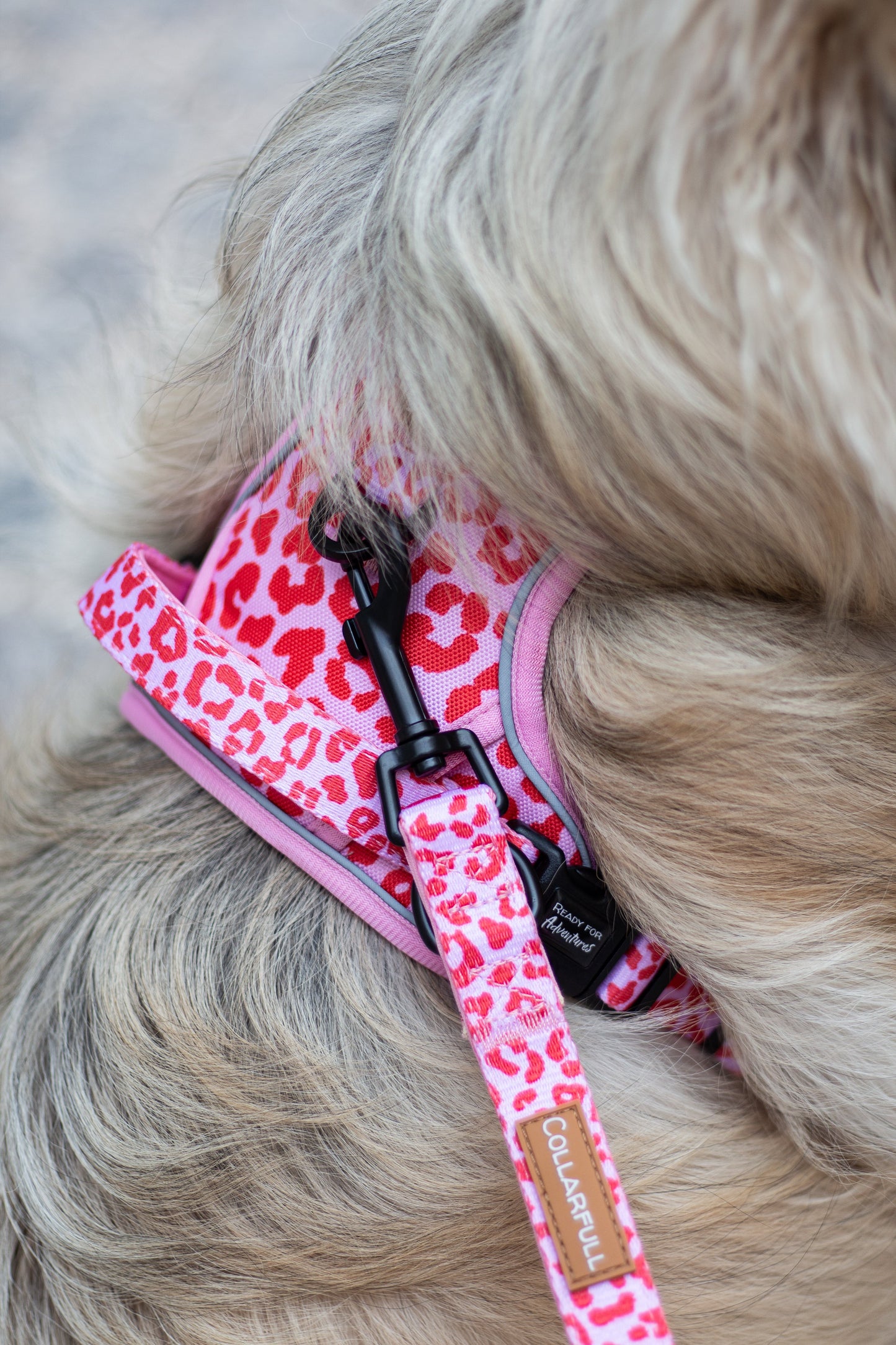 Adventure Trails Dog Harness - Pink Panther
