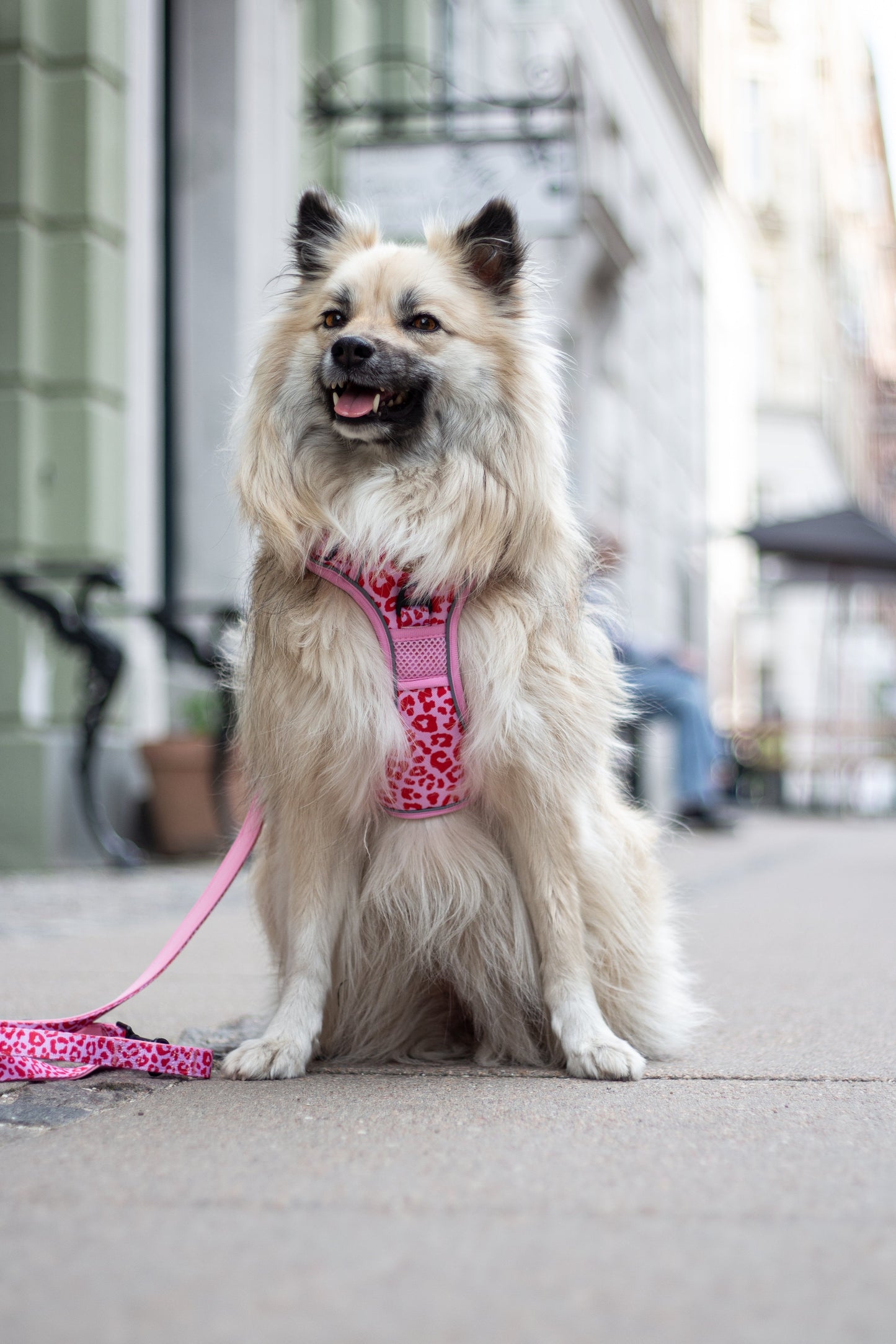 Adjustable dog leash - Pink Panther