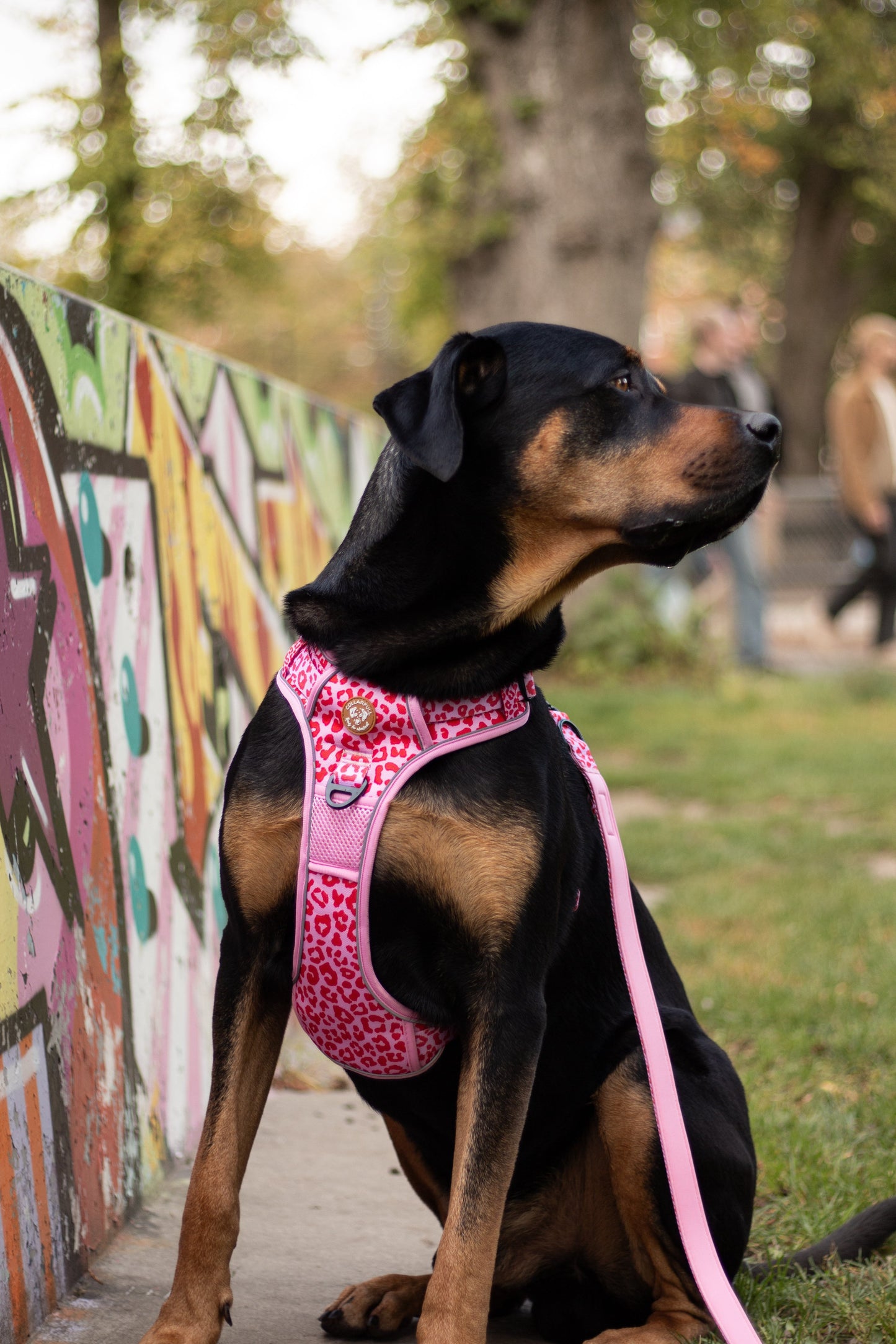 Adventure Trails Dog Harness - Pink Panther