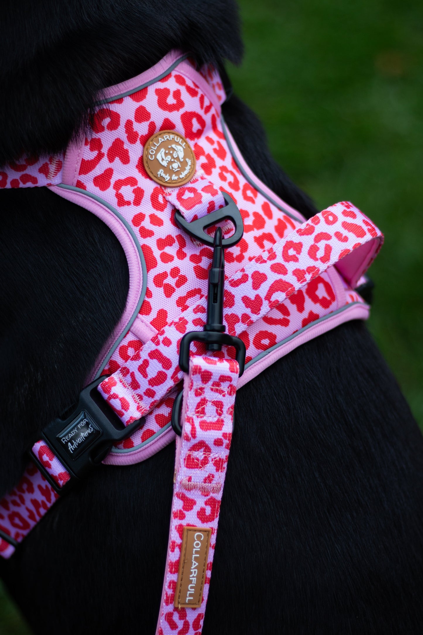 Adventure Trails Dog Harness - Pink Panther