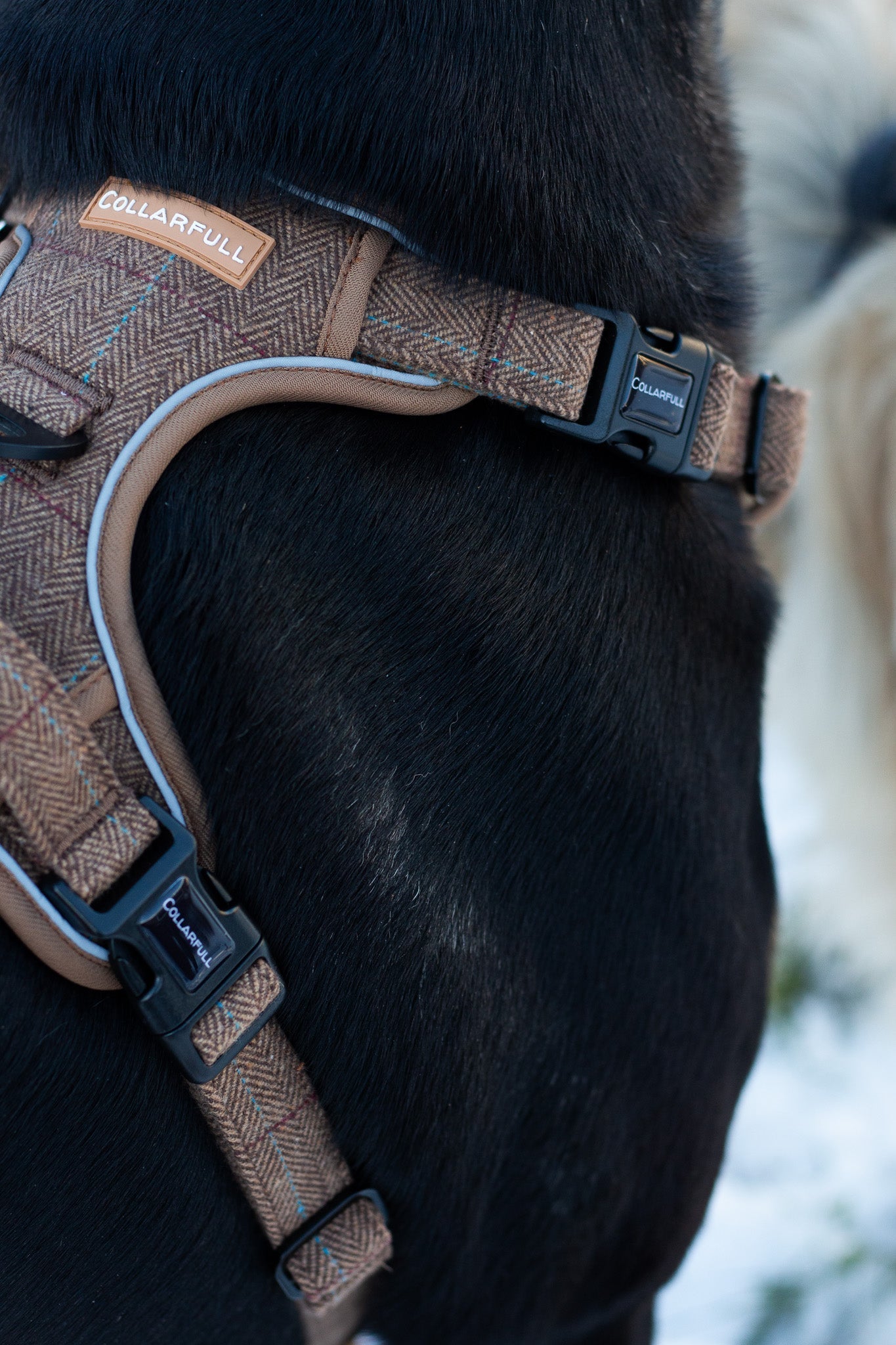 Adventure Trails Dog Harness - Brown Herringbone Tweed