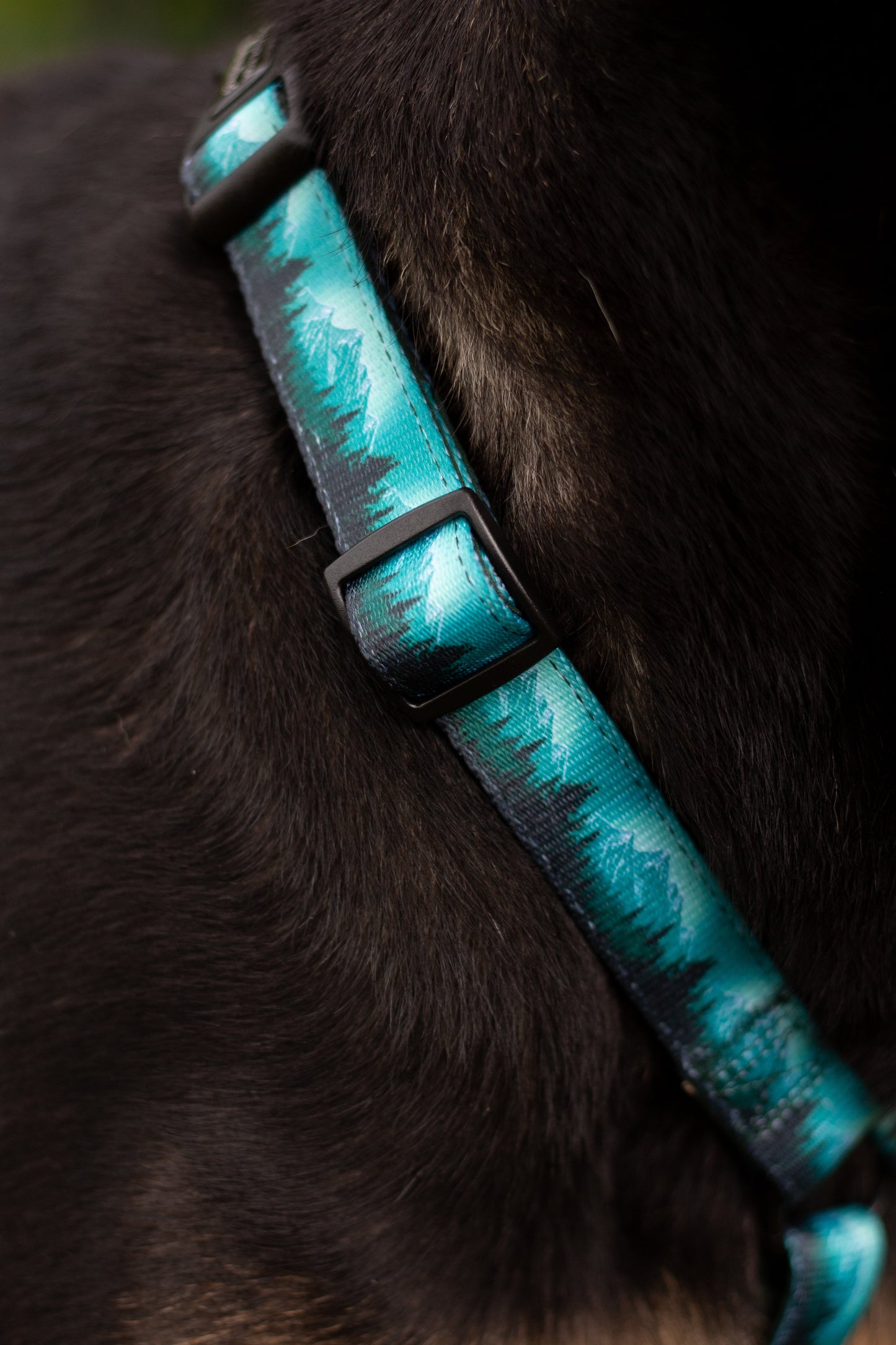 Urban Y Trails Dog Harness - Escape To The Wilderness