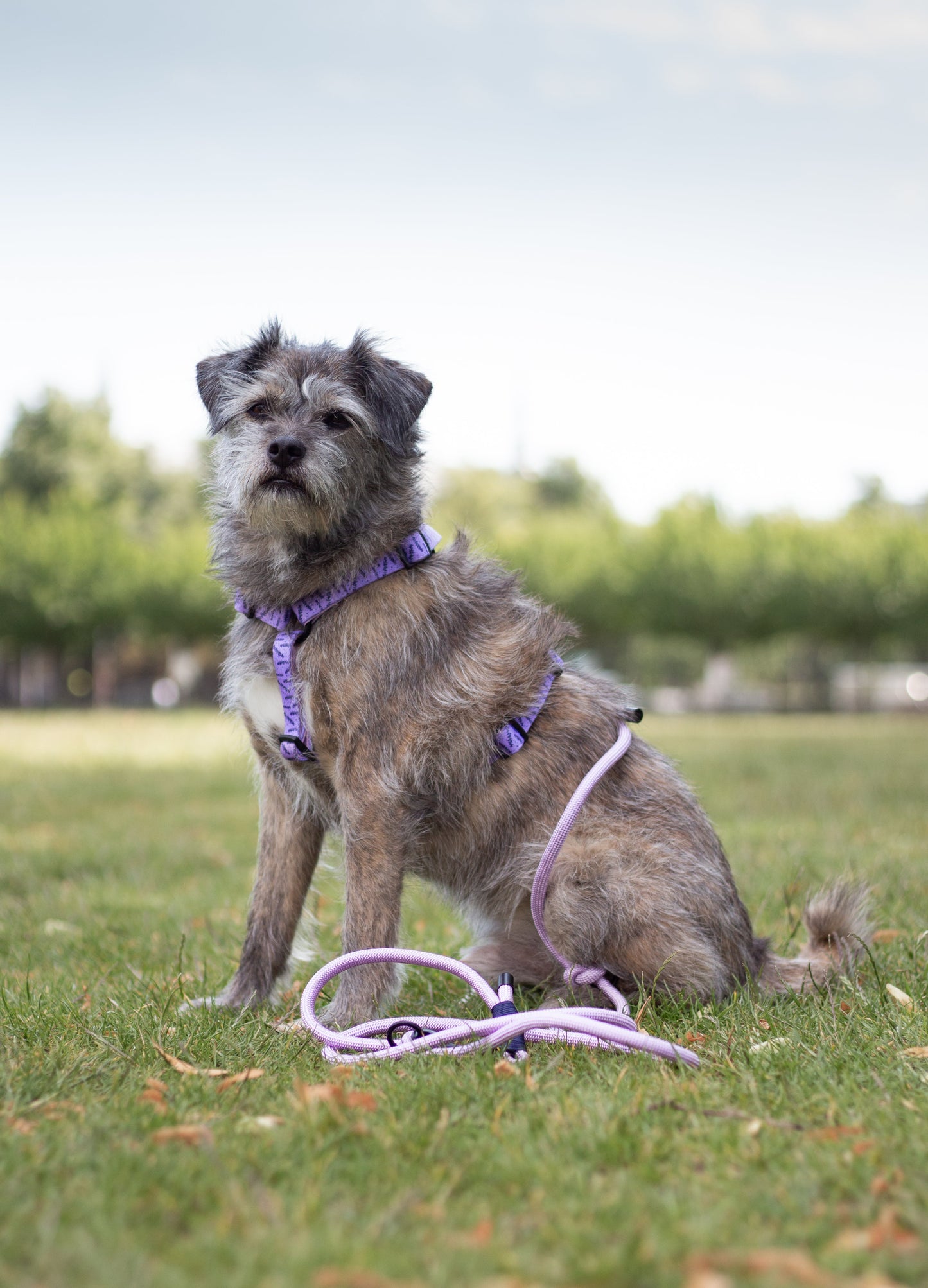 Adjustable rope cord - Lavender