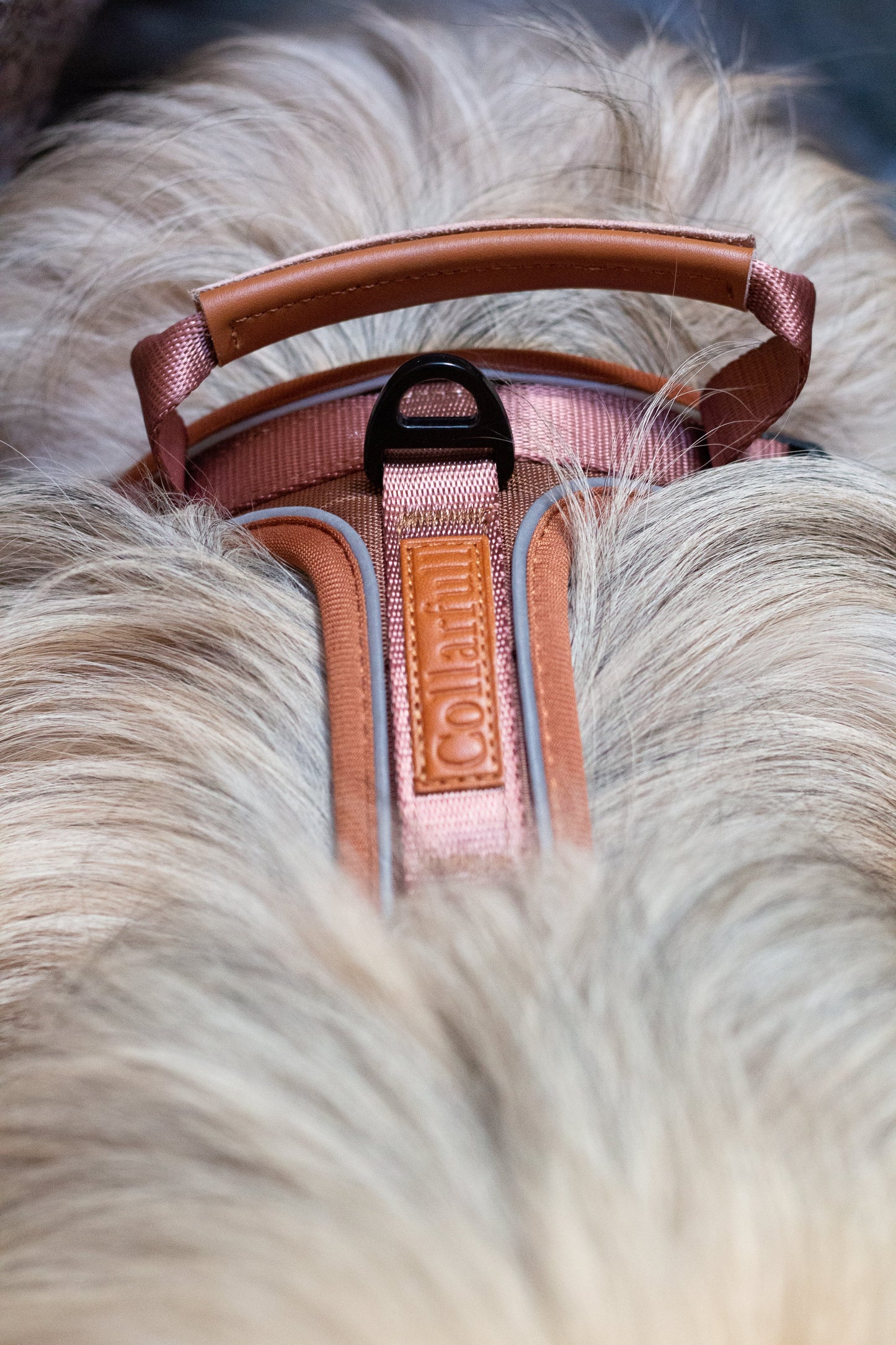 Terrain Trails dog harness - Caramel luxury