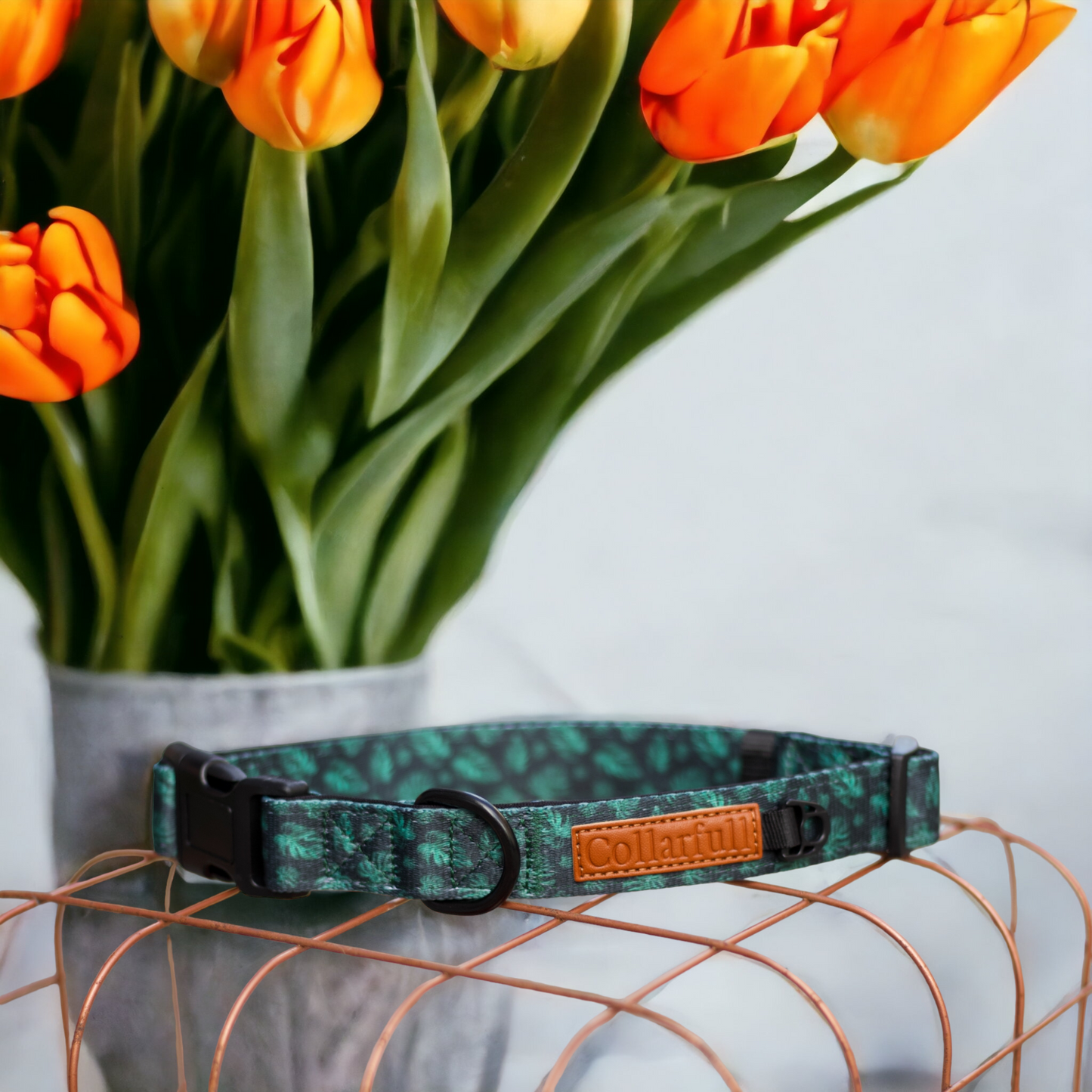 Collar - Evergreen