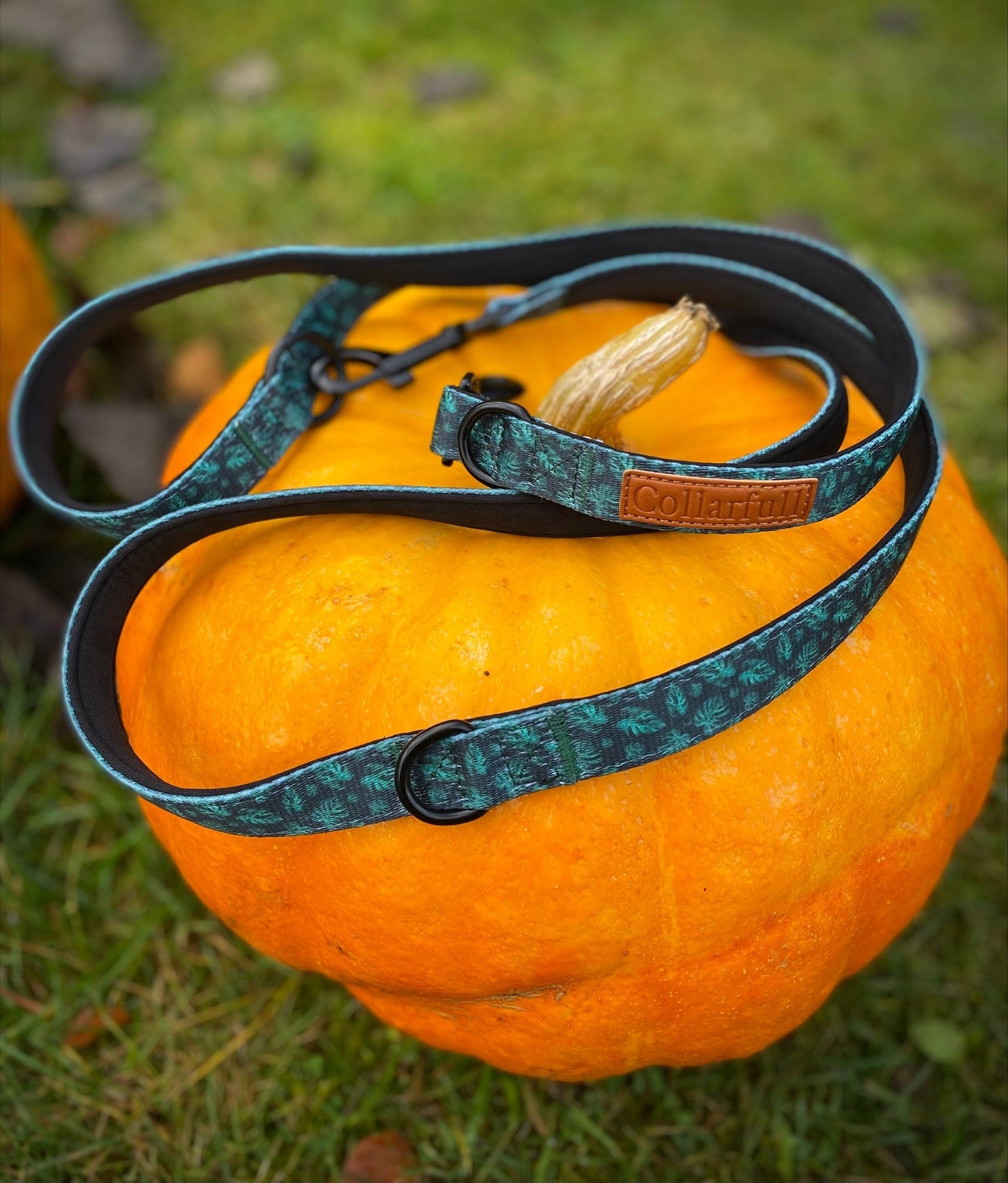 Adjustable dog leash - Evergreen