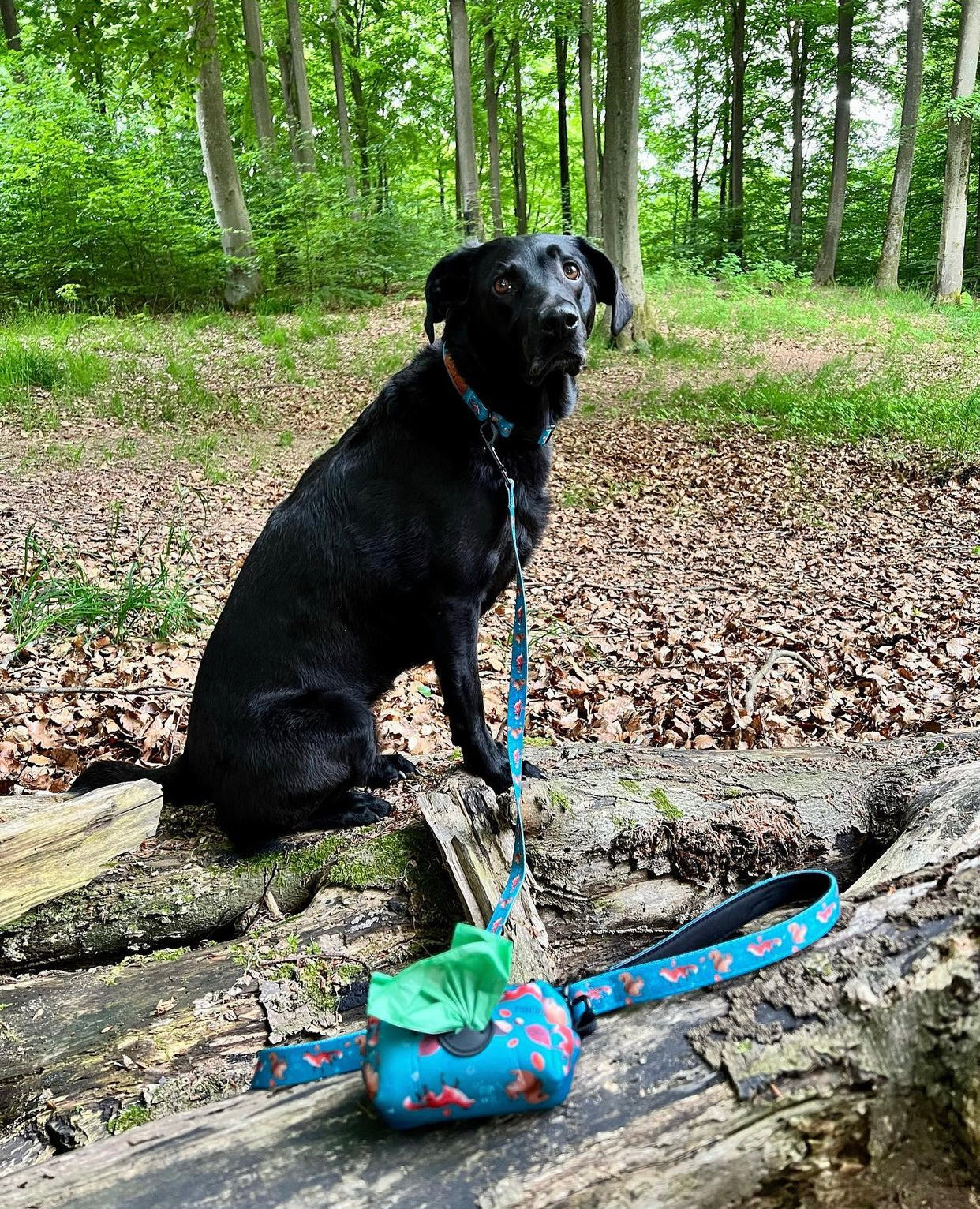 Bag holder - Hunting ground