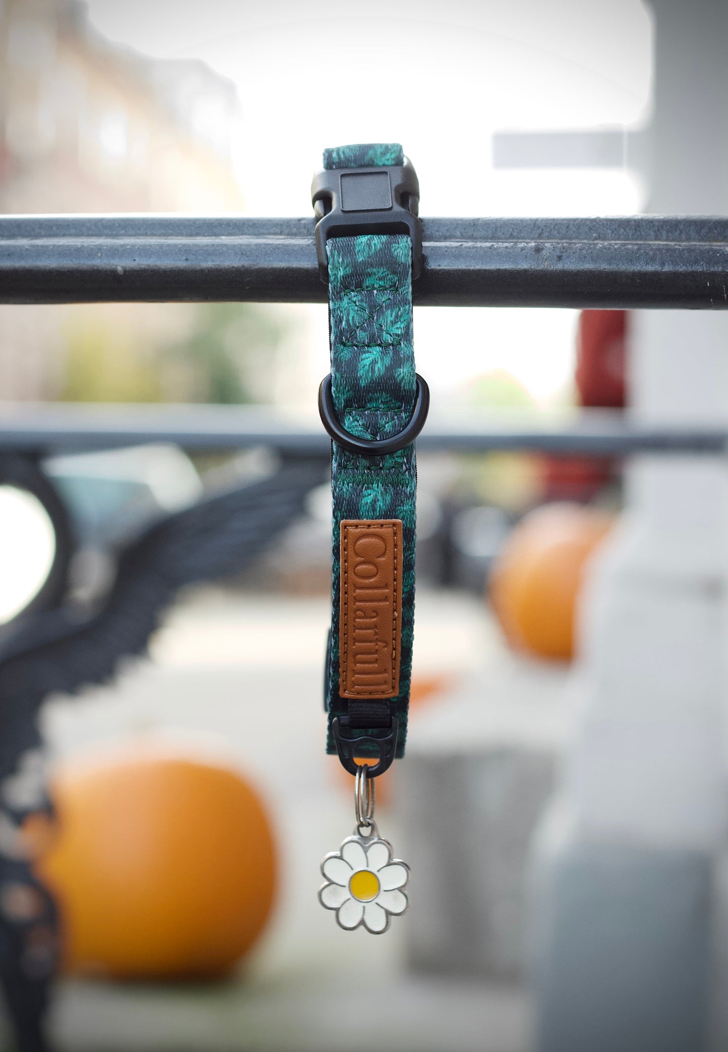 Collar - Evergreen