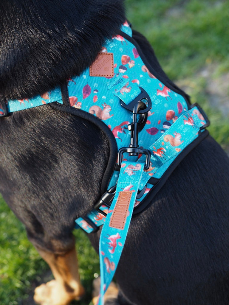 Dog leash - Hunting ground