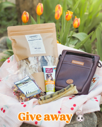 Treat bag - Dusty brown