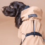 ((PRE-ORDER)) Paikka Visibility regnfrakke Taupe