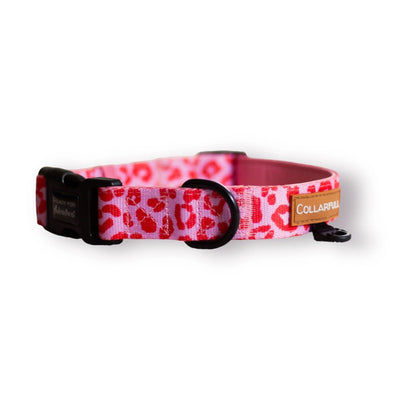 Collar - Pink Panther