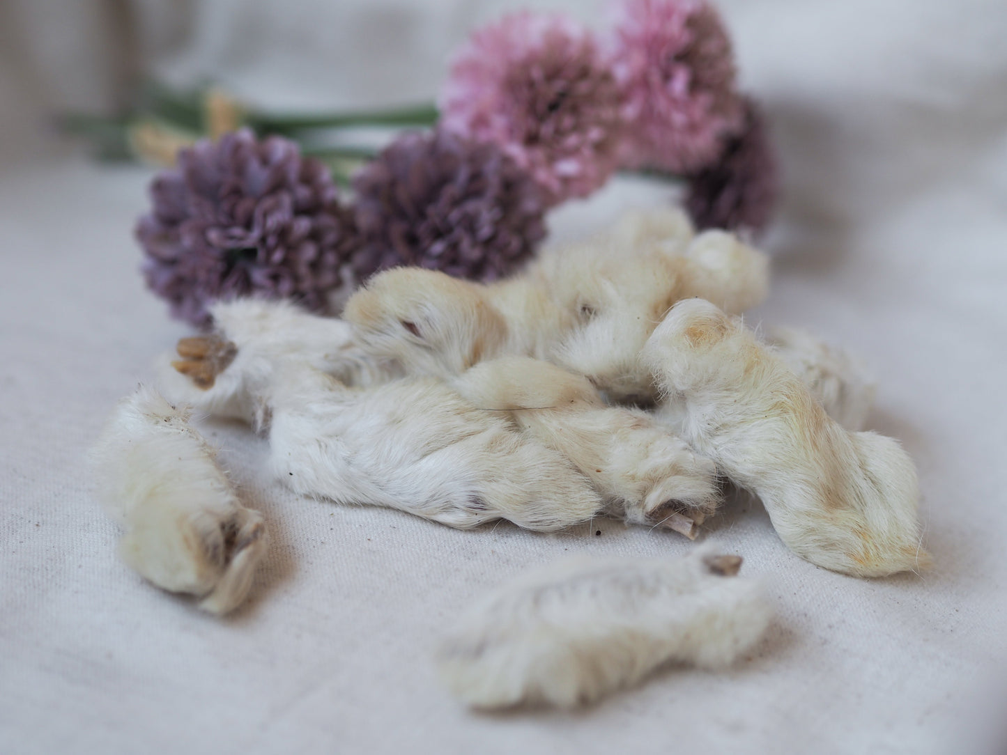 Rabbit paws with fur 