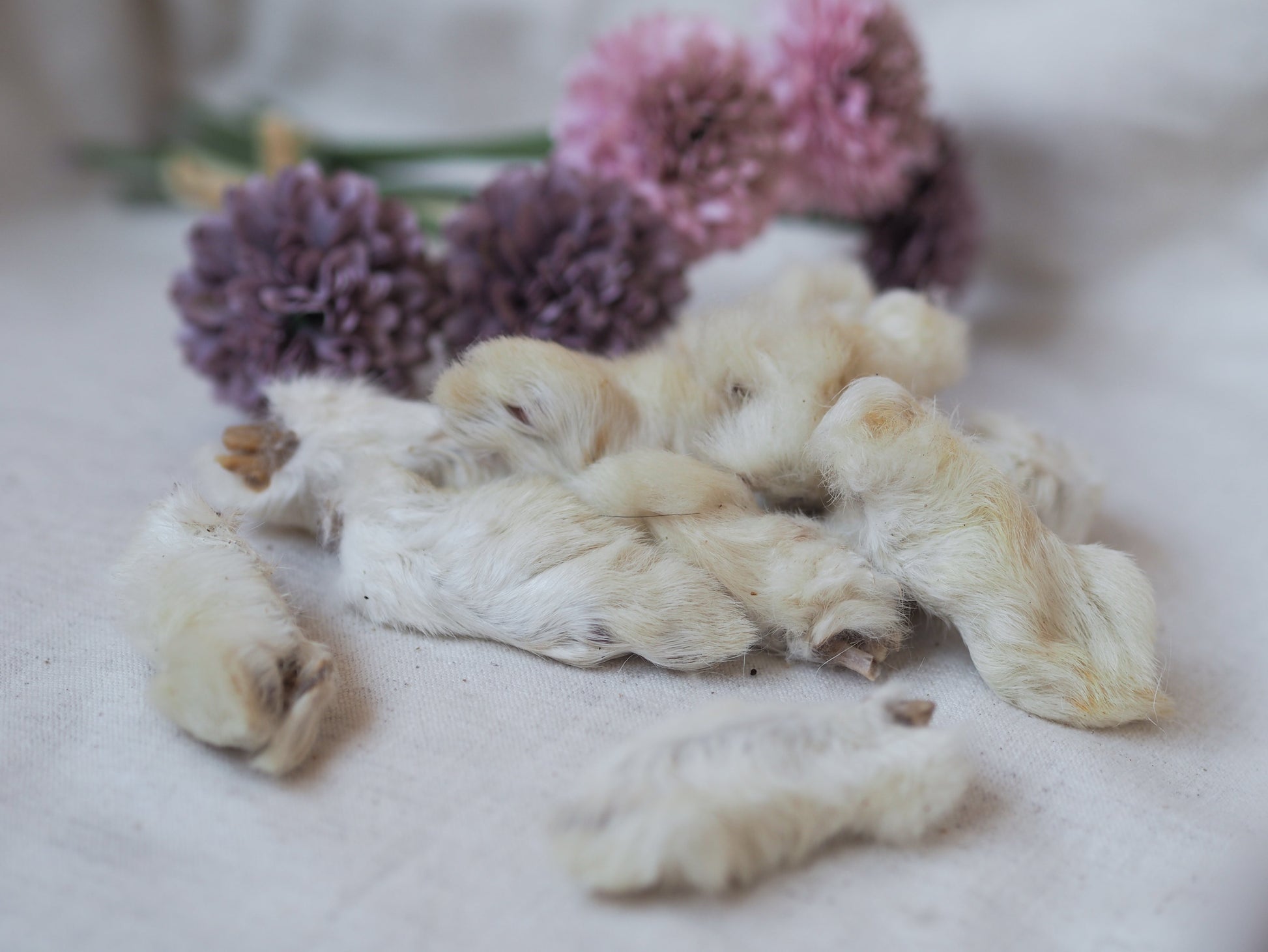 Rabbit paws with fur 
