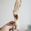 Rabbit ears with fur - 150g. 