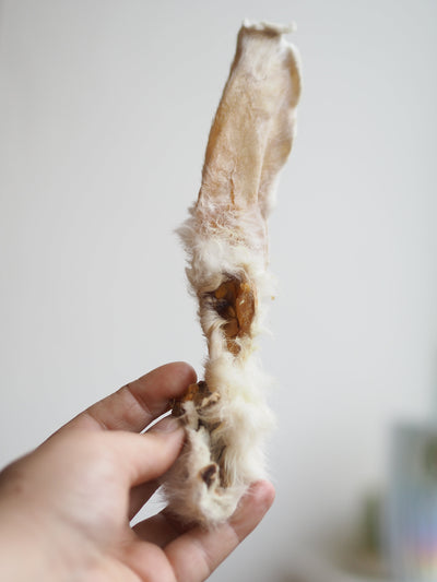 Rabbit ears with fur - 150g. 