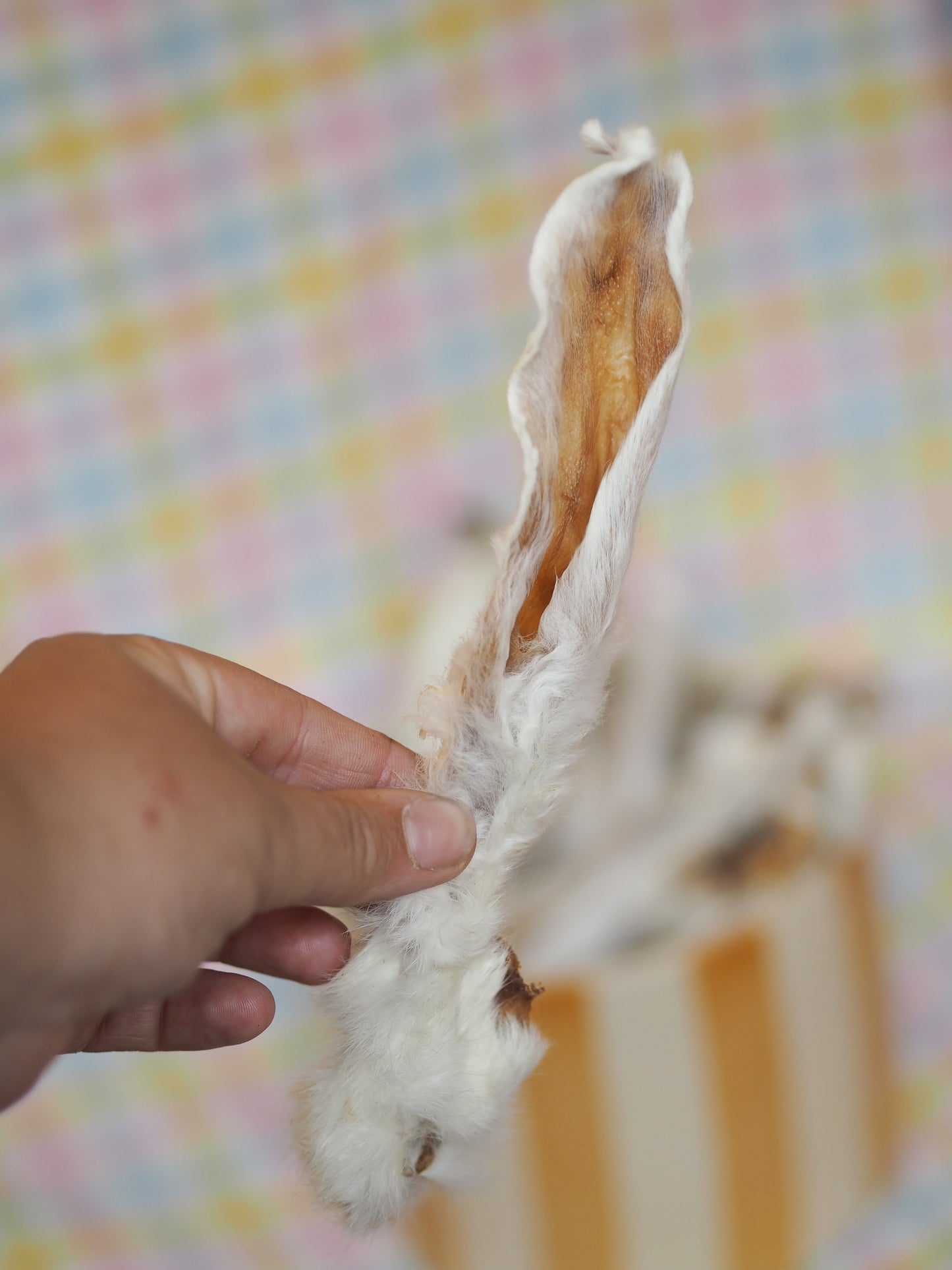 Rabbit ears with fur - 150g. 
