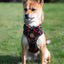 Adventure Trails dog harness - Leaf me not