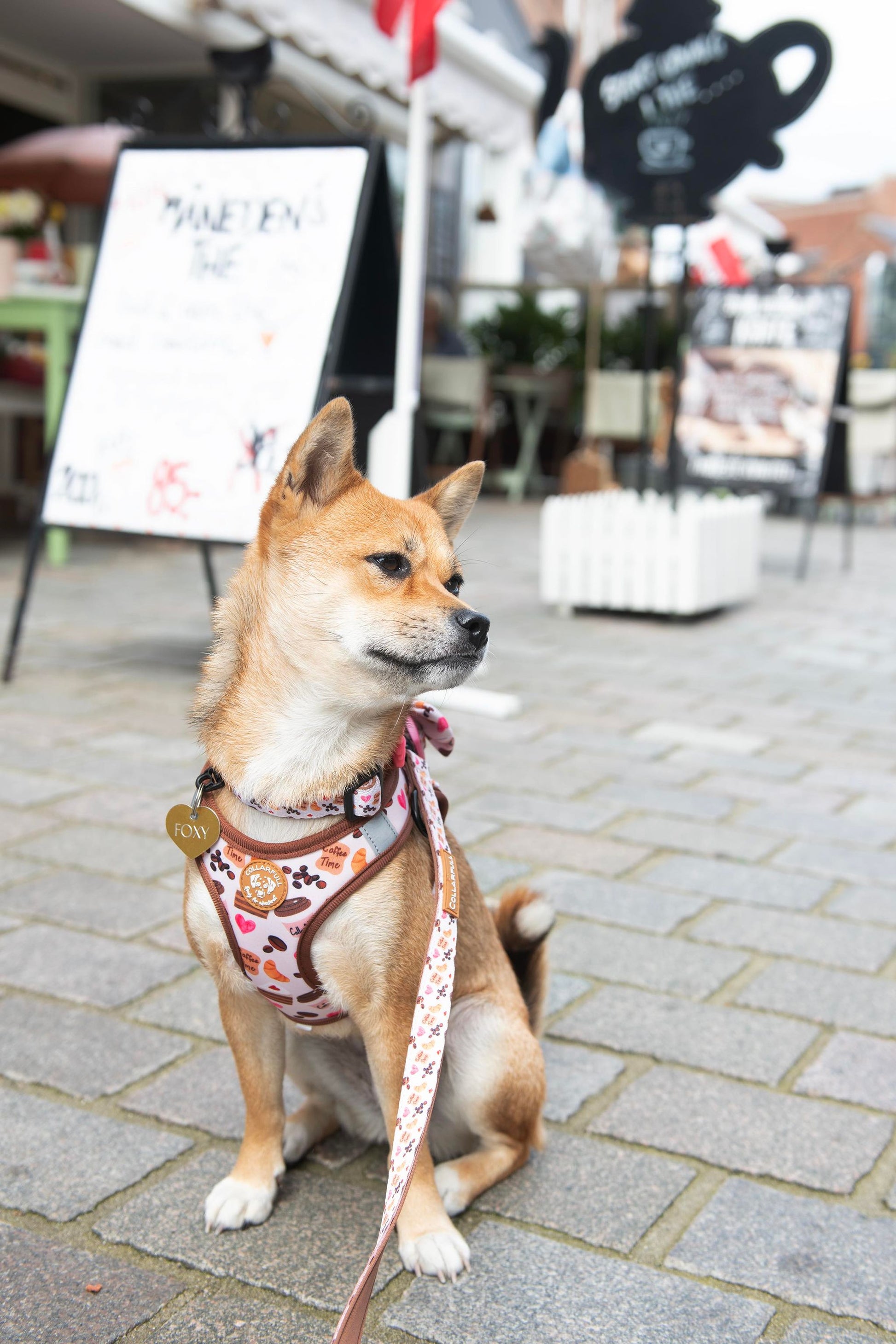 Tiny Trails step-in dog harness - Take a break, with Coffee N' Cake