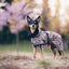 ((PRE-ORDER)) Paikka Visibility regnfrakke leo