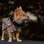 ((PRE-ORDER)) Paikka Visibility regnfrakke leo