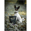 Woolf Ultimate Duck semi-most fuldfoder - 1kg