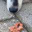 Woolf Duck Chunkies - 100g
