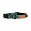 Collar - Evergreen