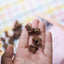 Sanadog mini treats beef - 100g 