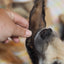 Lamb ears with fur 