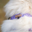 Necklace - I Smell Lavender